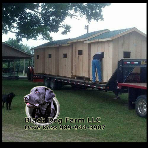 Amish Built Deer Blinds