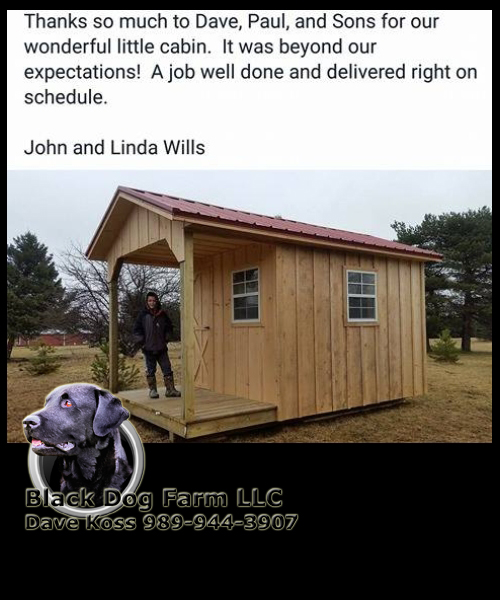 Amish Built Cabins