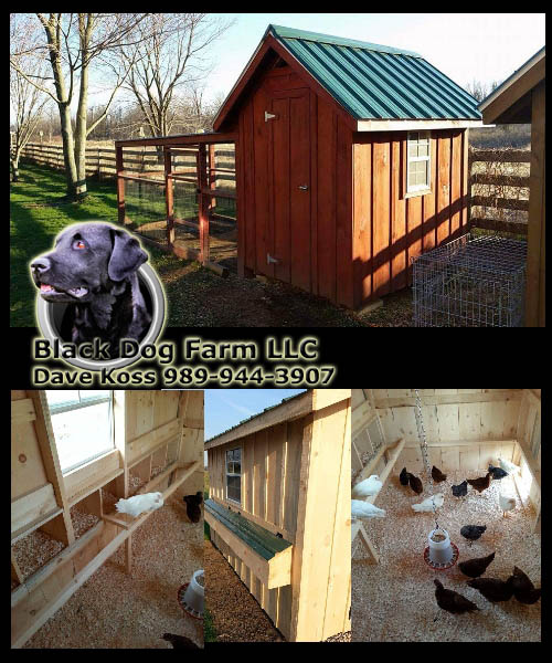 Amish Built Chicken Coop