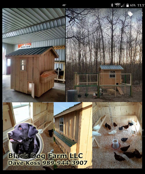 Amish Built Chicken Coop