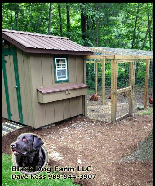 Amish Built Chicken Coop