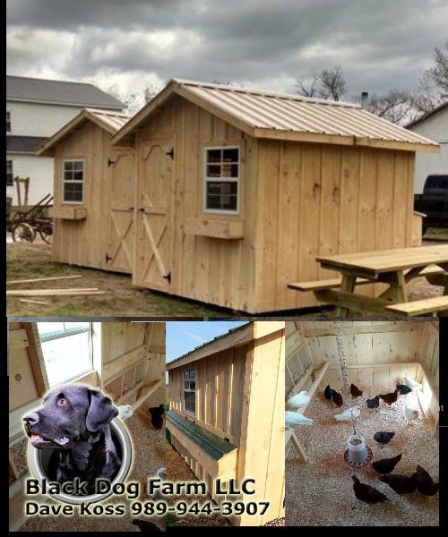 Amish Built Chicken Coop