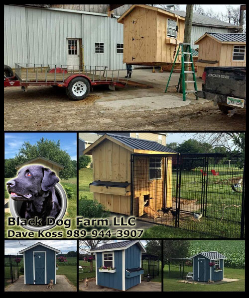 Amish Built Chicken Coop