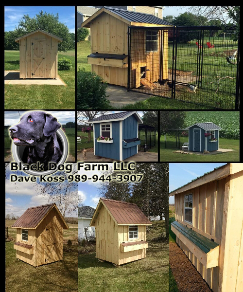 Amish Built Chicken Coop