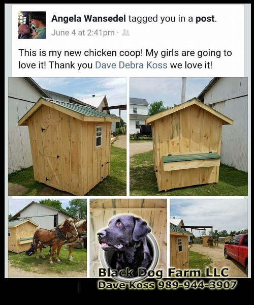 Amish Built Chicken Coop