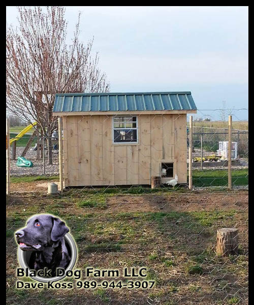 Amish Built Chicken Coop