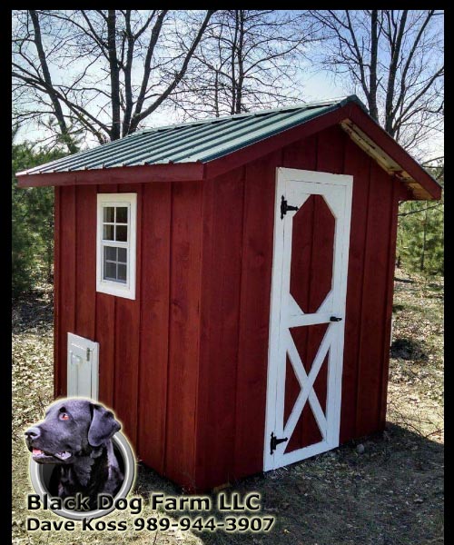 Amish Built Chicken Coop