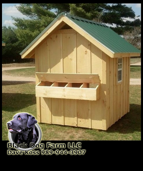 Amish Built Chicken Coop