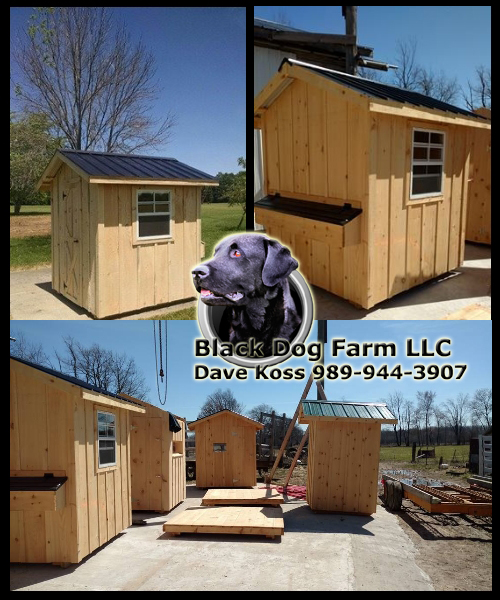 Amish Built Chicken Coop