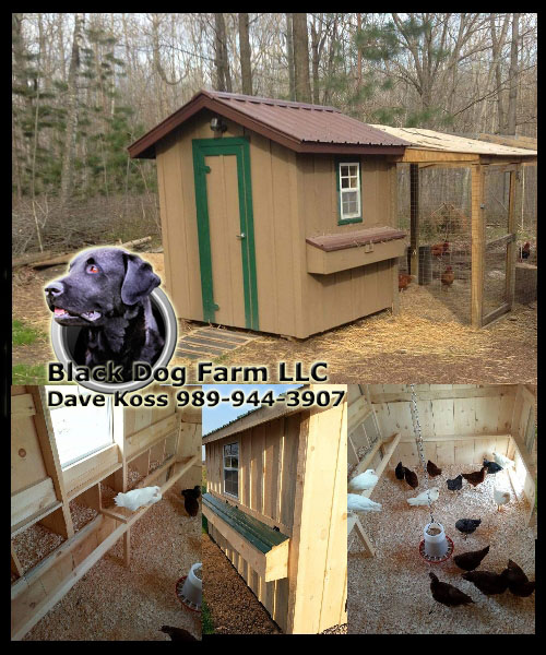 Amish Built Chicken Coop