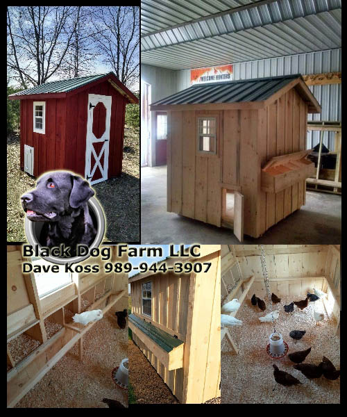 Amish Built Chicken Coop
