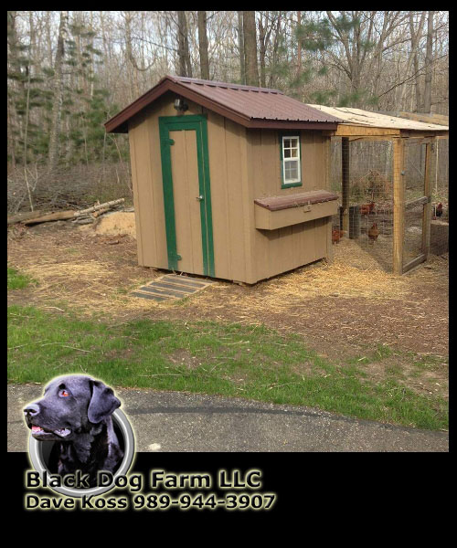 Amish Built Chicken Coop
