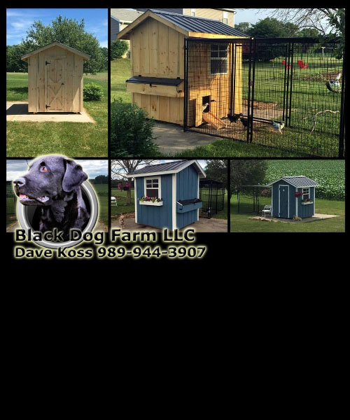 Amish Built Chicken Coop