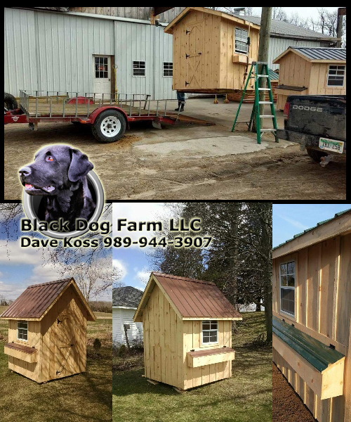 Amish Built Chicken Coop