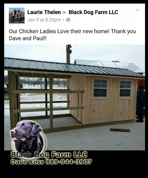 Amish Built Chicken Coop
