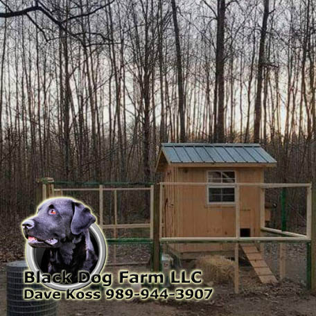 Amish Built Chicken Coop
