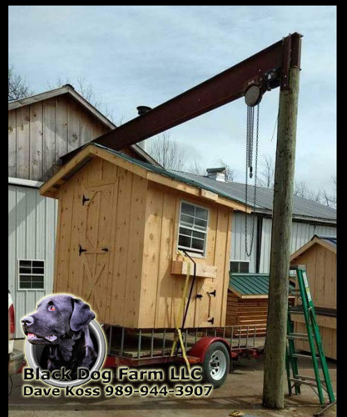 Amish Built Chicken Coop