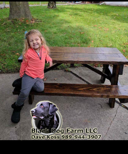Amish Built Picnic Tables