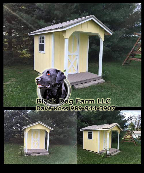 Amish Built Playhouse