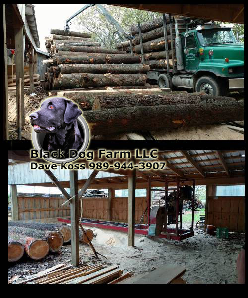 Amish sawmill