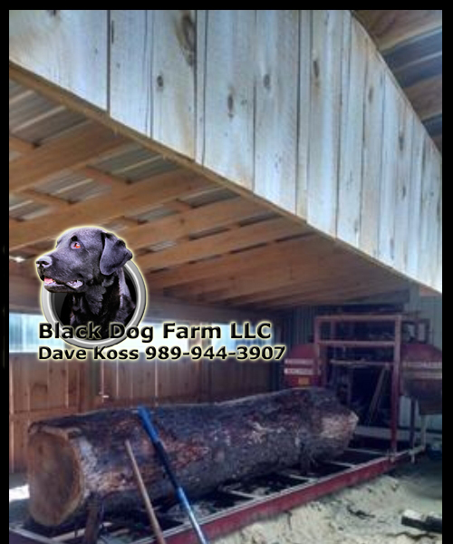 Amish sawmill