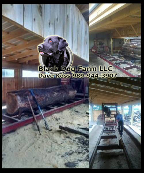 Amish sawmill