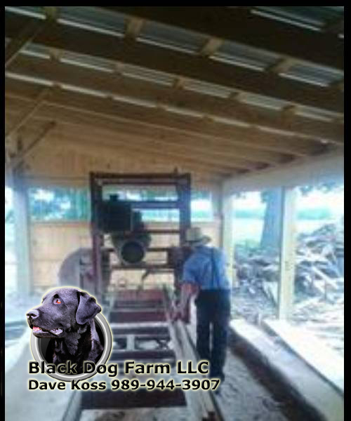 Amish sawmill