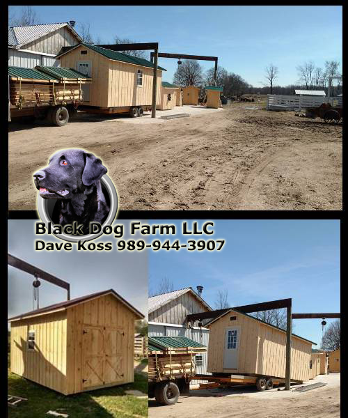 Amish Built shed Sheds