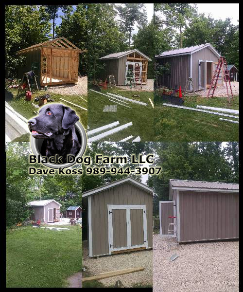 Amish Built Sheds