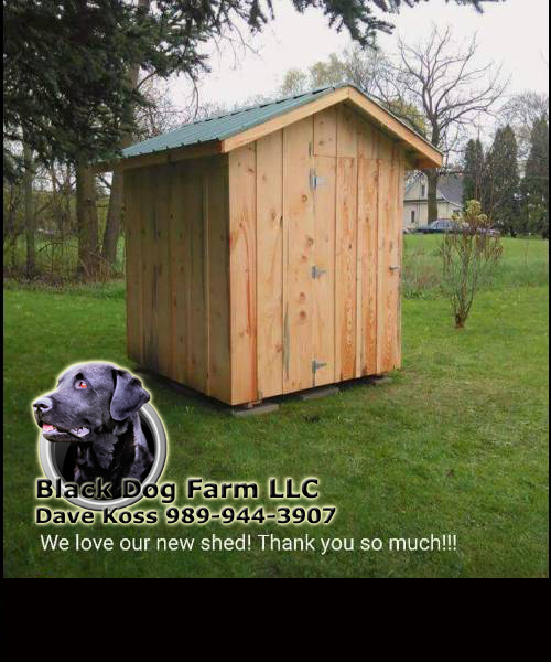 Amish Built shed Sheds