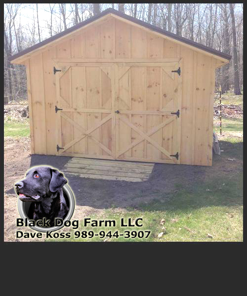 Amish Built Sheds