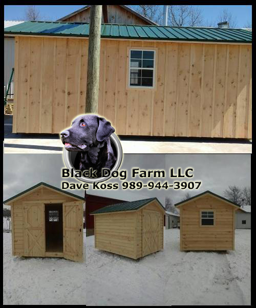 Amish Built Sheds