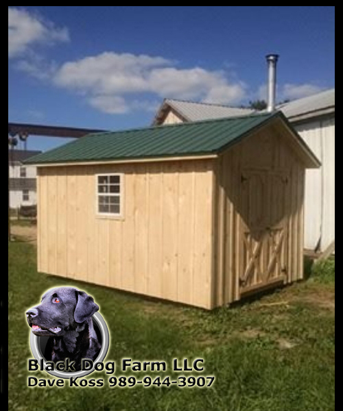 Amish Built Sheds