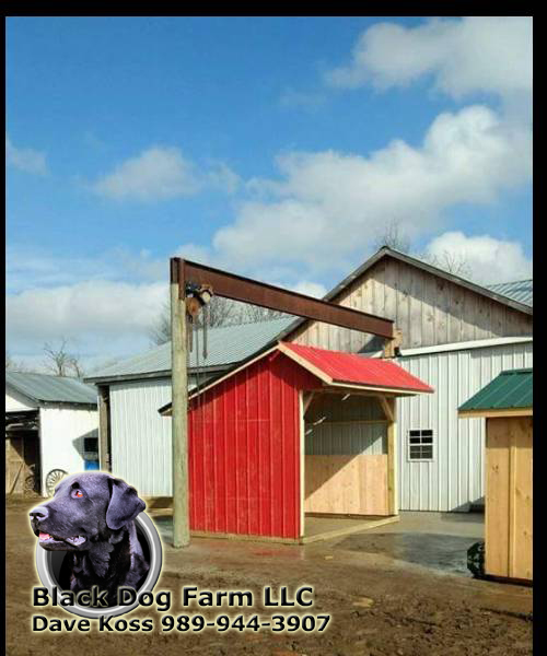 Amish Built Animal Shelters