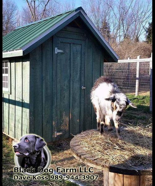 Amish Built Hay Feeders